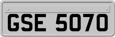 GSE5070