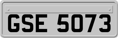 GSE5073