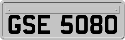GSE5080