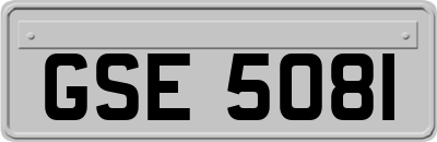GSE5081