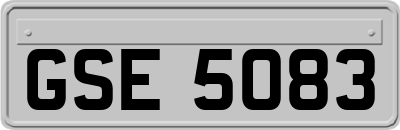 GSE5083