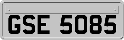 GSE5085