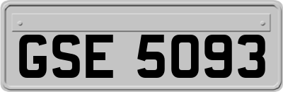 GSE5093
