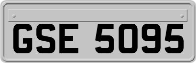 GSE5095