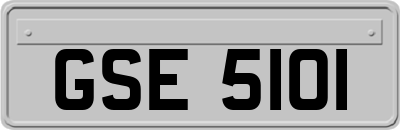GSE5101
