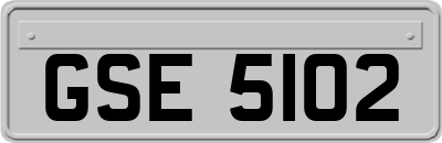 GSE5102