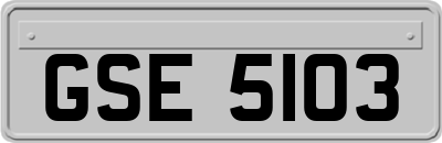 GSE5103