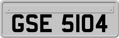 GSE5104