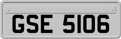 GSE5106