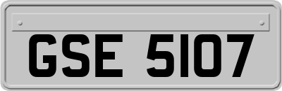 GSE5107