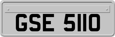 GSE5110