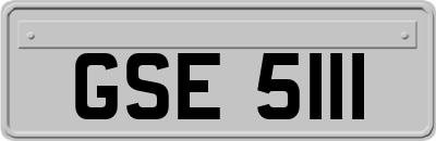 GSE5111
