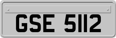 GSE5112