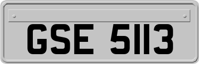 GSE5113