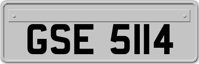 GSE5114