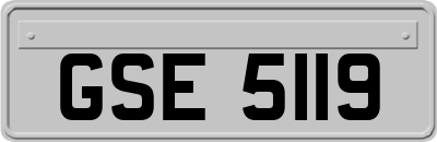 GSE5119