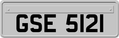 GSE5121