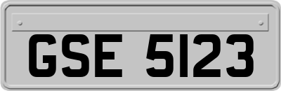 GSE5123