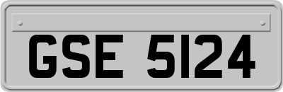 GSE5124