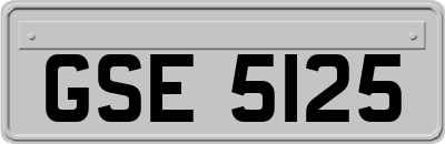 GSE5125