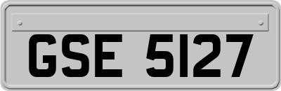 GSE5127