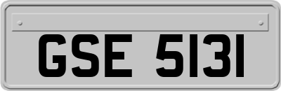 GSE5131