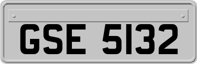 GSE5132
