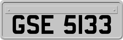 GSE5133