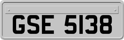 GSE5138