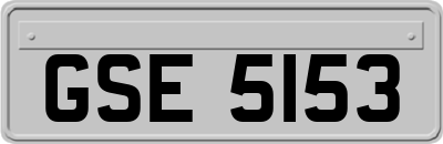 GSE5153