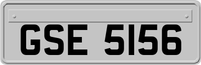 GSE5156