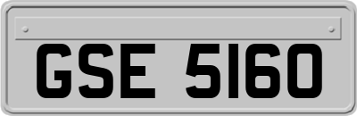 GSE5160