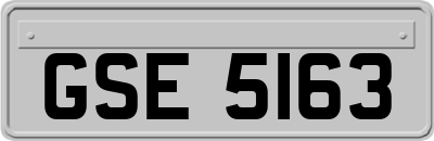 GSE5163