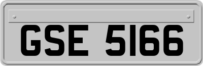 GSE5166