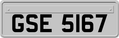 GSE5167