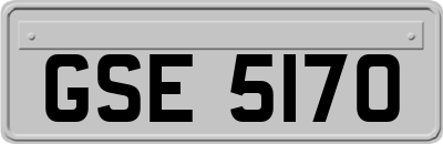 GSE5170