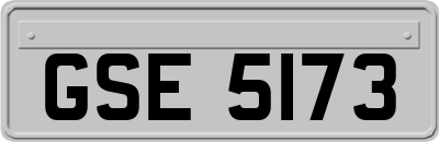 GSE5173