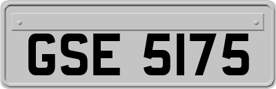 GSE5175