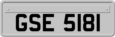 GSE5181