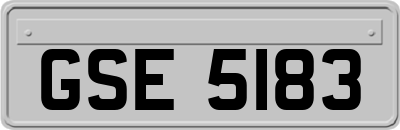 GSE5183