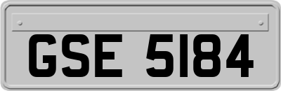 GSE5184