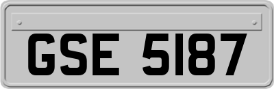 GSE5187