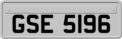 GSE5196