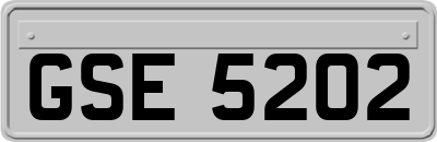 GSE5202