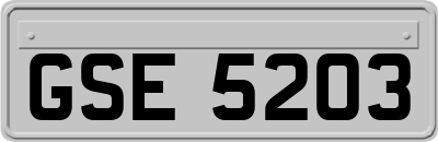 GSE5203