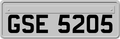 GSE5205