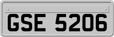 GSE5206