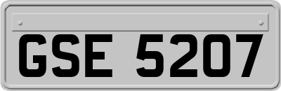 GSE5207