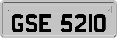 GSE5210