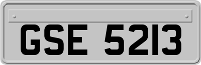 GSE5213